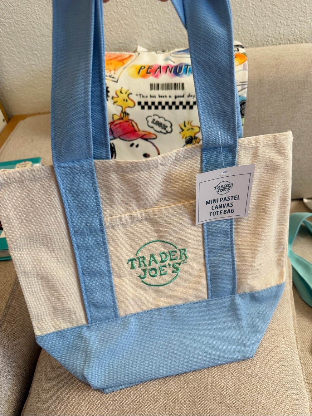 Mini Pastel Canvas Tote Bag - Blue & Cream